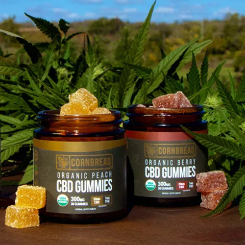 CBD Gummies