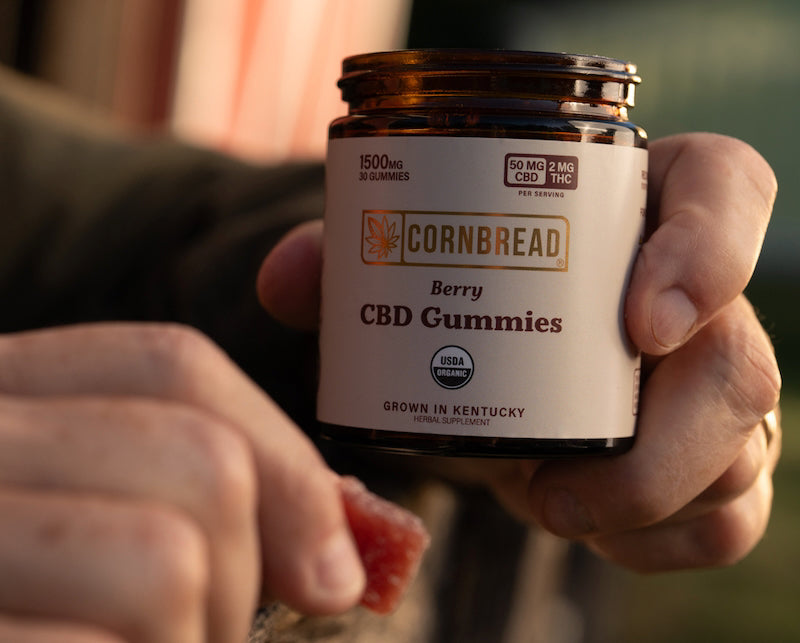 CBD Gummies for Appetite