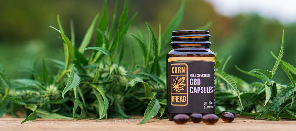 cbd capsules vs cbd gummies