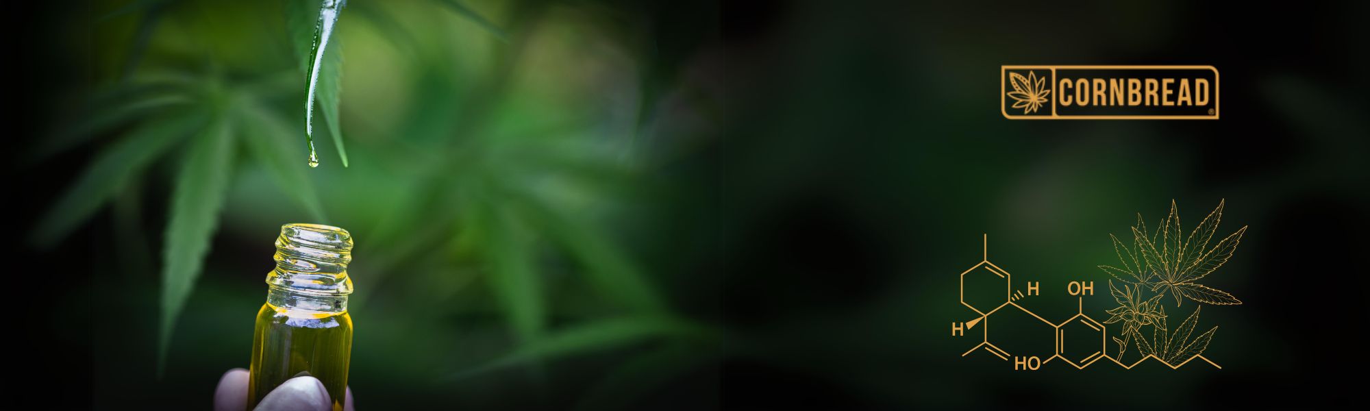 CBD Oil Side Effects on Liver Function