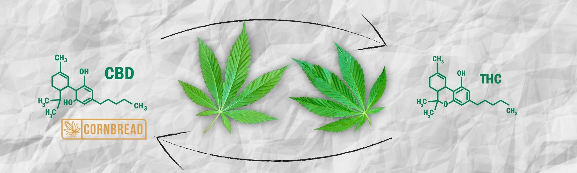 does cbd oil have thc