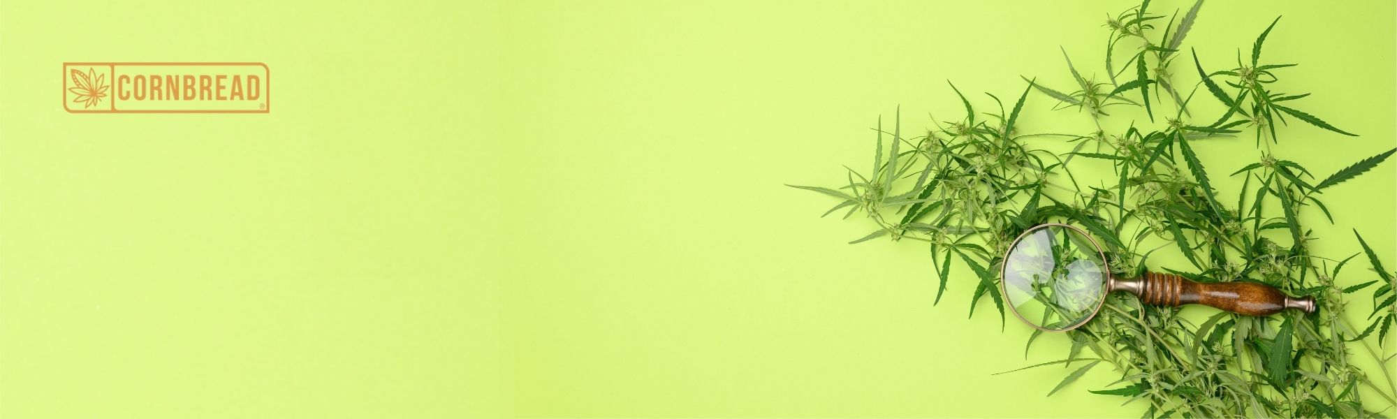 how long does cbd oil take to work