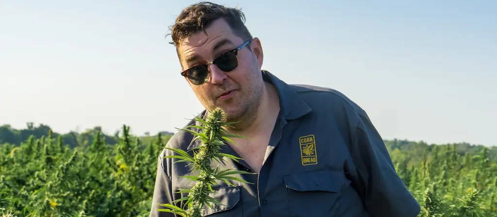 how does cbd oil make you feel