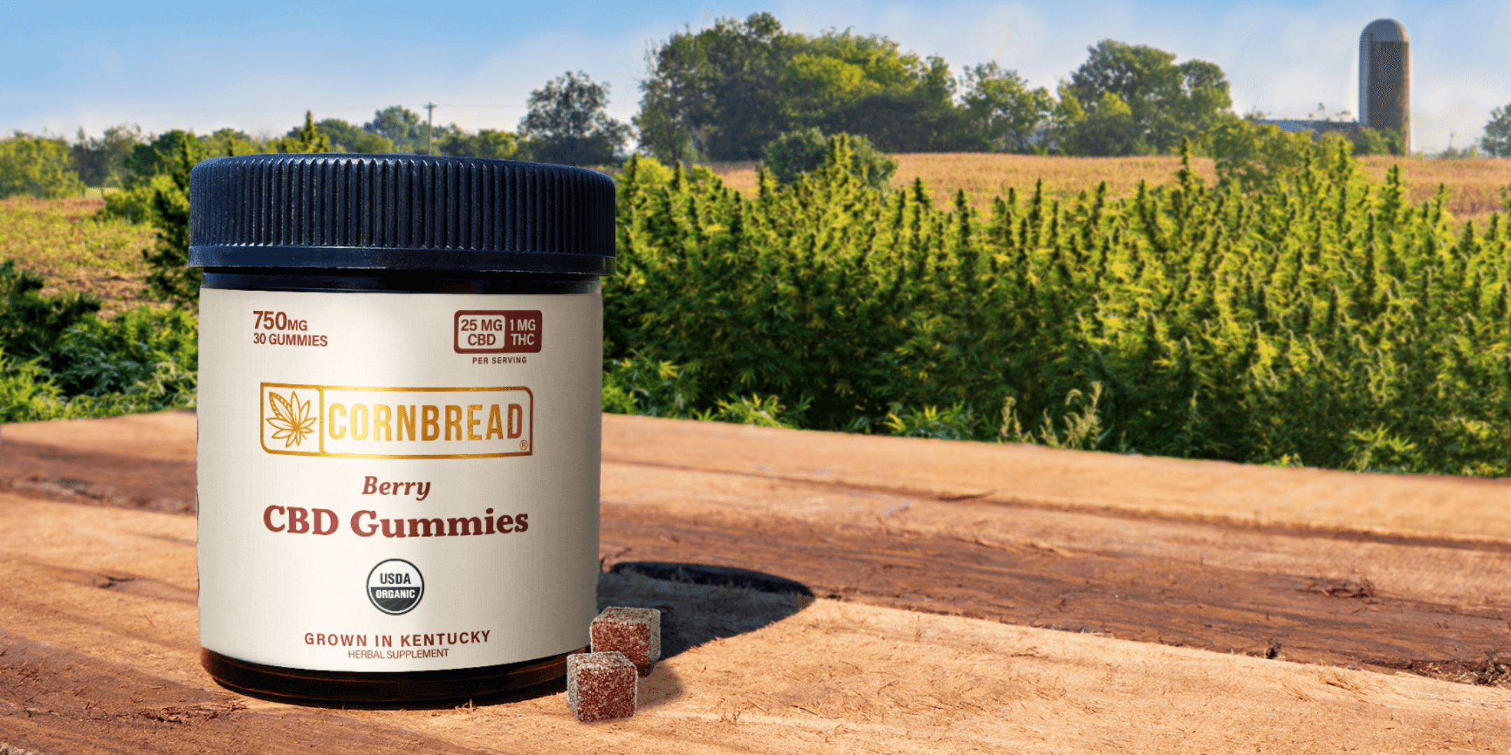 what do cbd gummies do