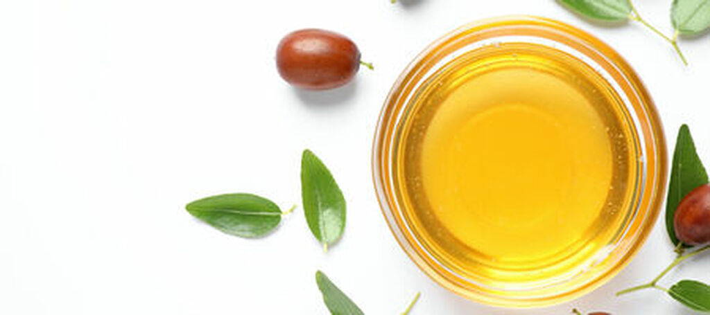 What is Jojoba Oil?