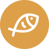Go Fish
