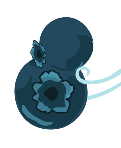blueberry
