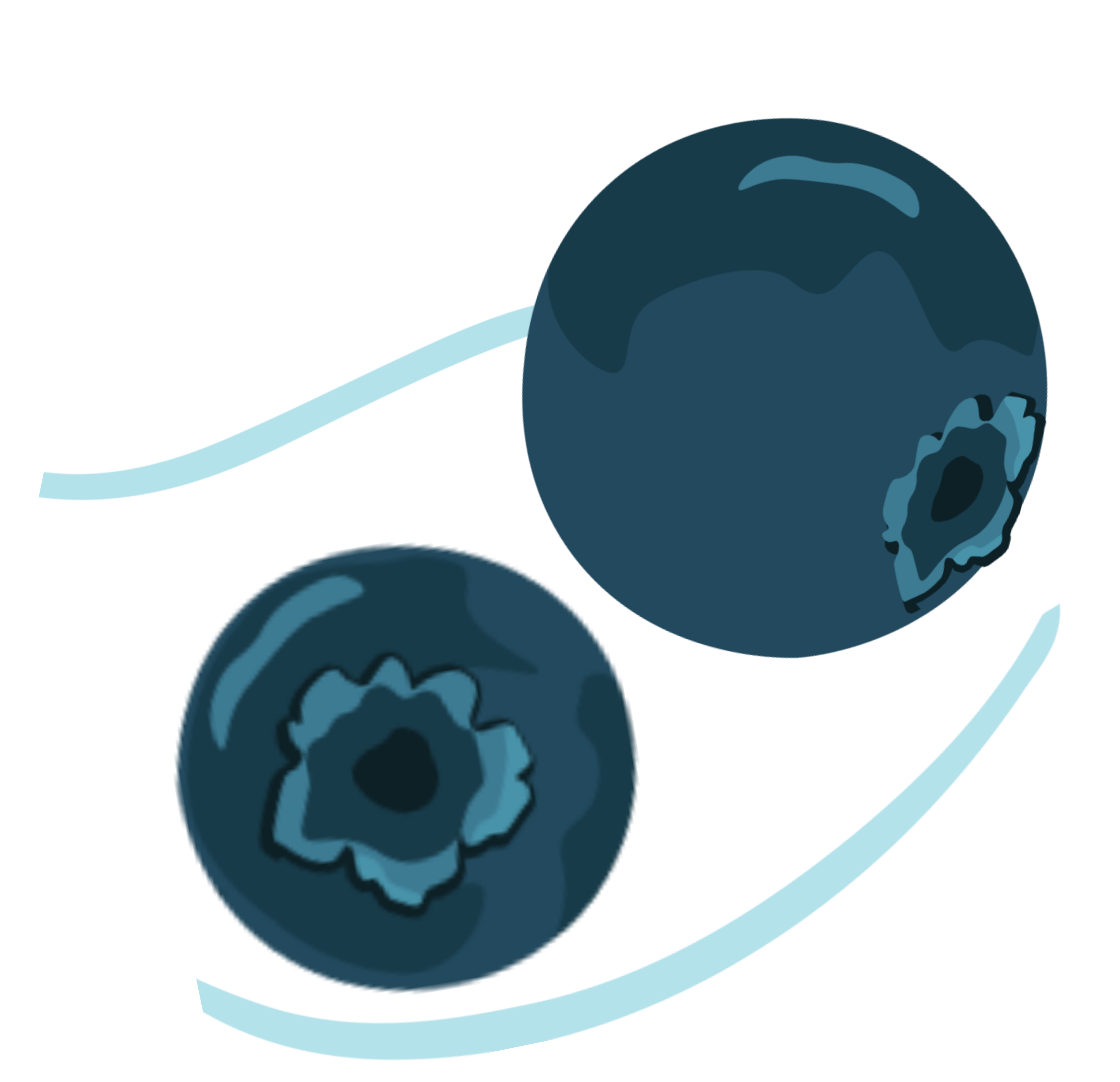 blueberry